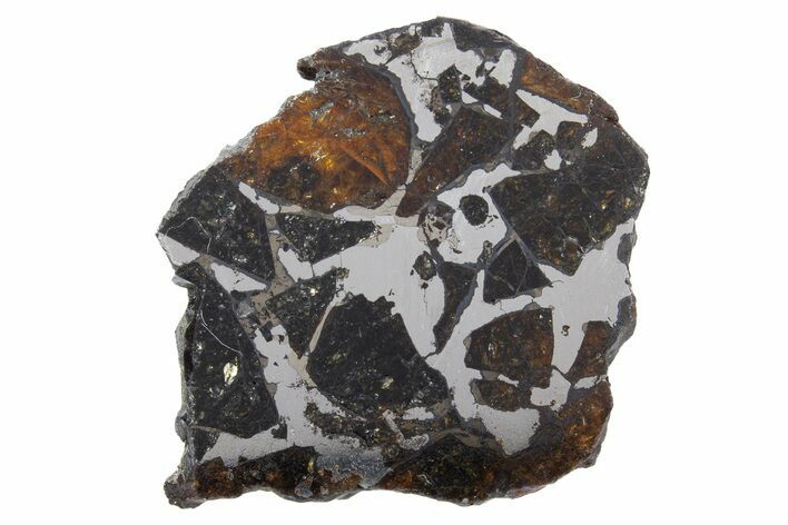 Polished Pallasite Meteorite ( g) Slice - NWA #301186